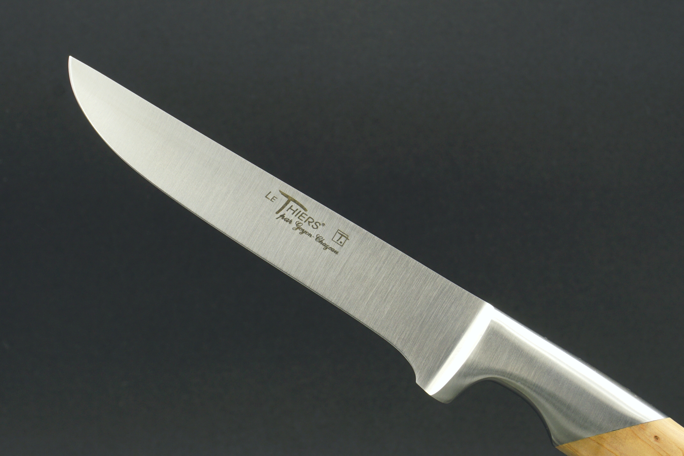 GOYON-CHAZEAU Le Thiers Cuisine Ausbeinmesser - Klinge: 13 cm - Detailansicht Klinge